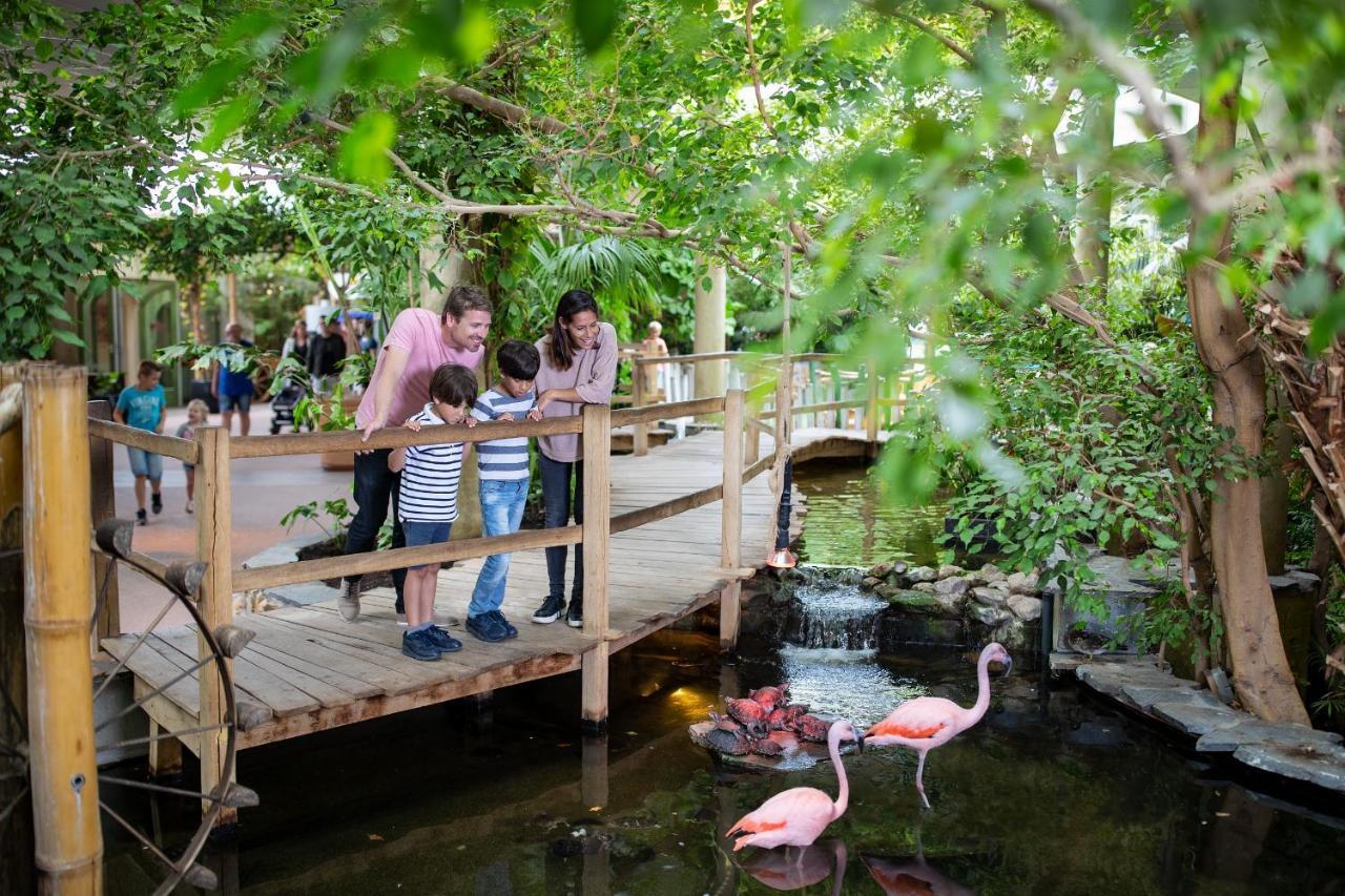 Center Parcs Port Zelande Beach Ouddorp Luaran gambar